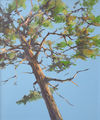 pine, painting No. 3640