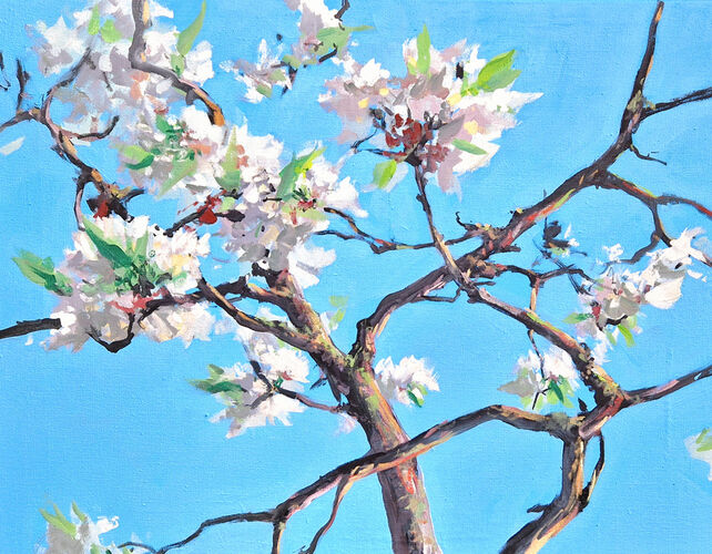 cherry blossoms, painting No. 2277 / oil on canvas