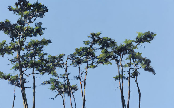 pines, painting No. 3849 / Acrylic on canvas