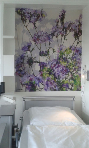 phacelia in hospital / Prino behind glass