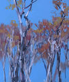 spring birches, painting No. 1530