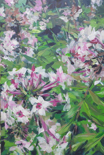 Phlox, painting No. 7565 / acrylic on canvas