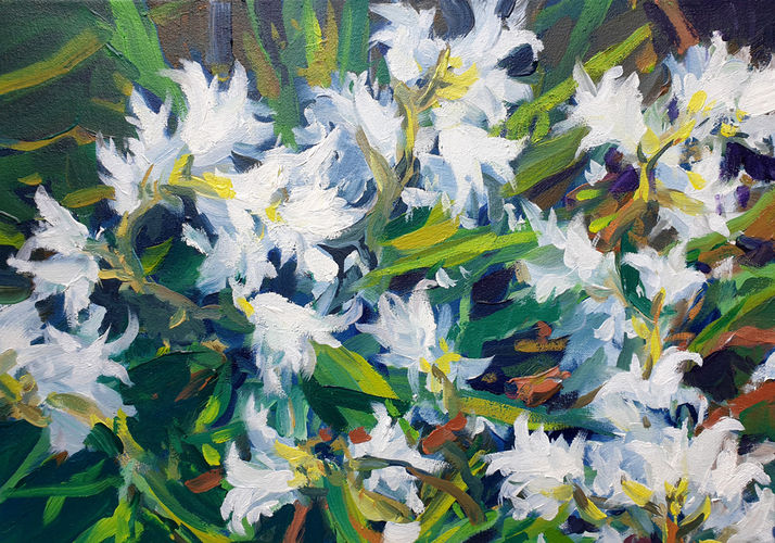 three-cornered garlic, painting No. 9784 / oil on canvas