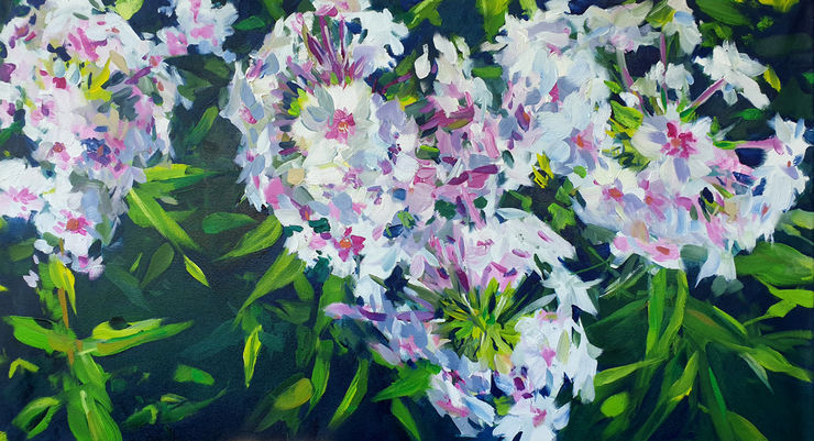 Phlox, painting No. 9732 / oil on canvas