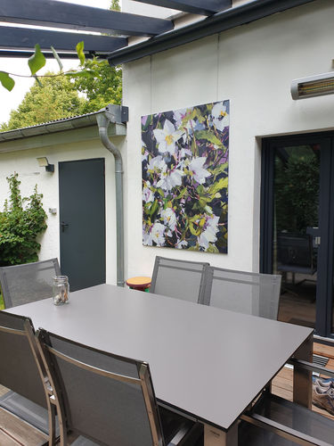 christmas Roses in outdoor area / weatherresistant print