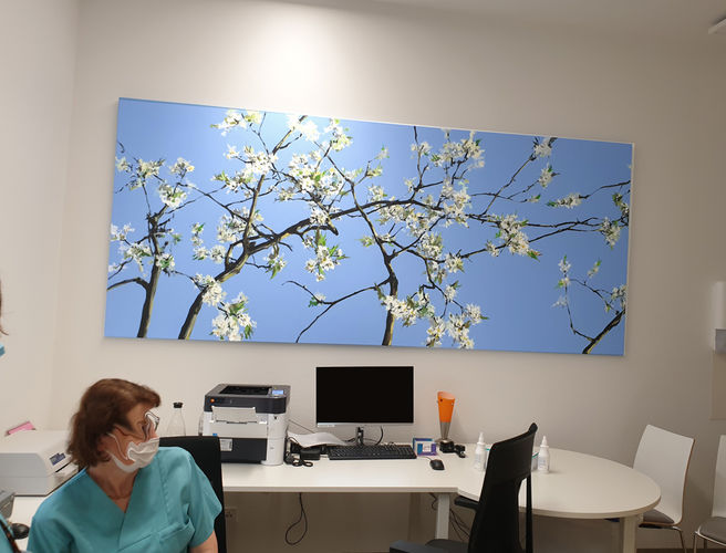 cherry blossoms in a Hospital / acrylic on canvas