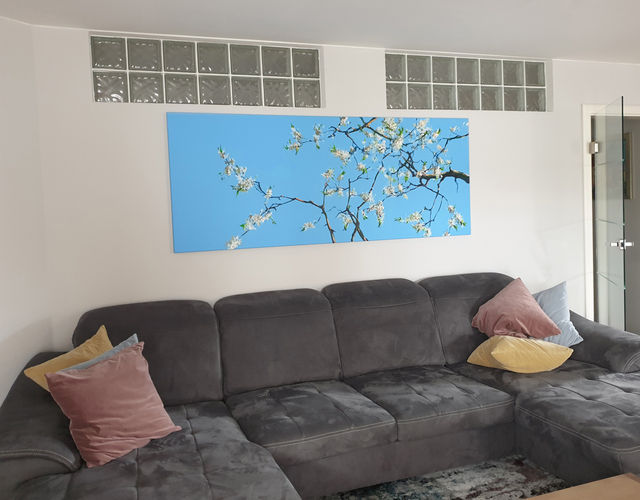 cherry blossoms in living room / acrylic on canvas