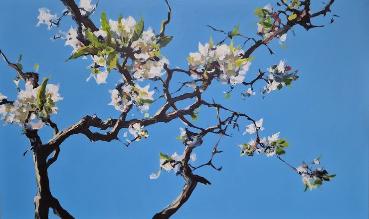 Cherry blossoms, painting No. 6591 / acrylic on canvas