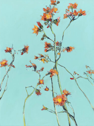 orange hawkweed, painting No. 6596 / oil on cancas