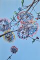 flora incognita, painting No. 4245