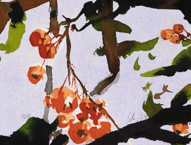 firethorn, painting No. 4250 / ink on canvas