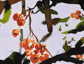 firethorn, painting No. 4250