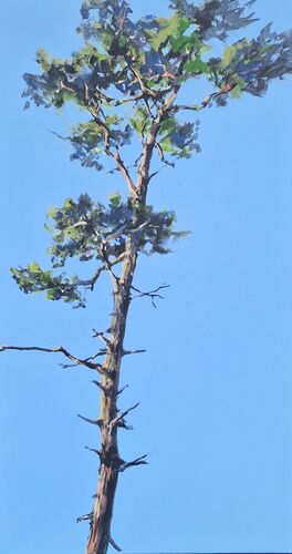 Pines, painting No. 3461 / acrylic on canvas