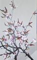plum blossoms, painting No. 6754