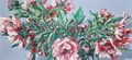 peony, work no. 6020