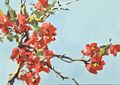 japanese quince, painting No. 3471