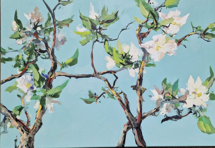 apple blossoms, painting No. 3473 / oil on canvas