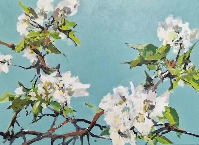 apple blossoms, painting No. 3472 / oil on canvas