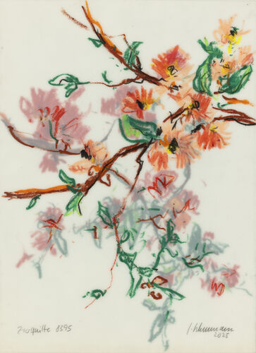 flowering quince, work no. 8395 / wax crayon on paper