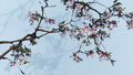 scented snowball, work No. 2210