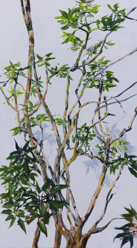 aralie, work no. 7331 / acrylic on canvas