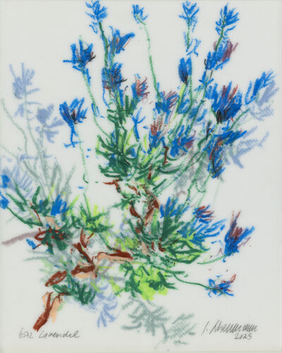 lavendel,work No. 6572 / wax crayon on paper