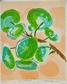 jade plant, painting No. 3756