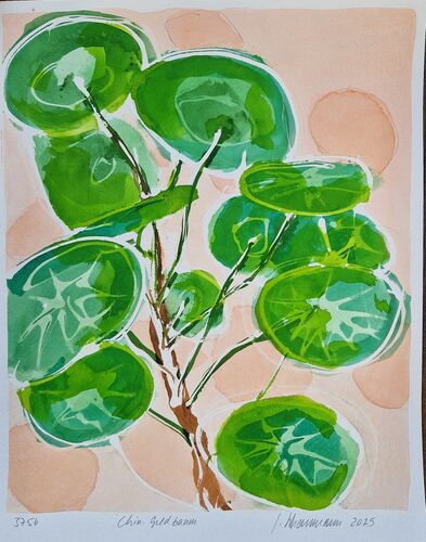 jade plant, painting No. 3757 / ink in paper