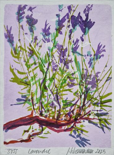 Lavender, work No. 3755 / ink on paper