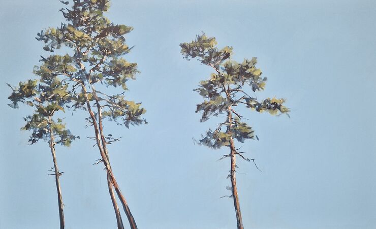 pines, painting No. 5900 / acrylic on canvas