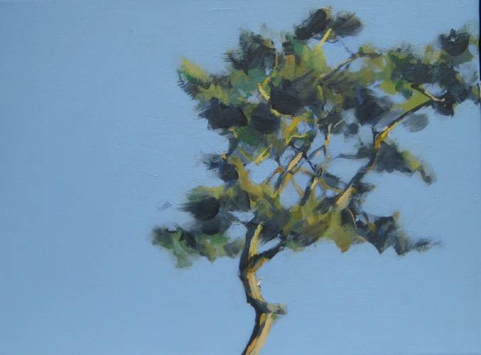 Pine tree (Work No. 6676) / Acrylic on cotton