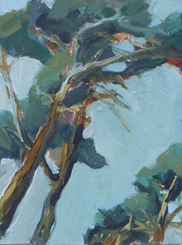 Pines, work- No. 3724 / 