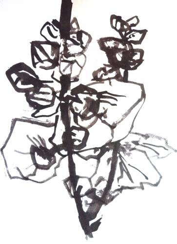 hollyhock, work no. 5435 / Ink on paper