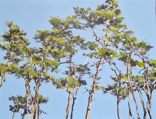 Pines / acrylic  on canvas