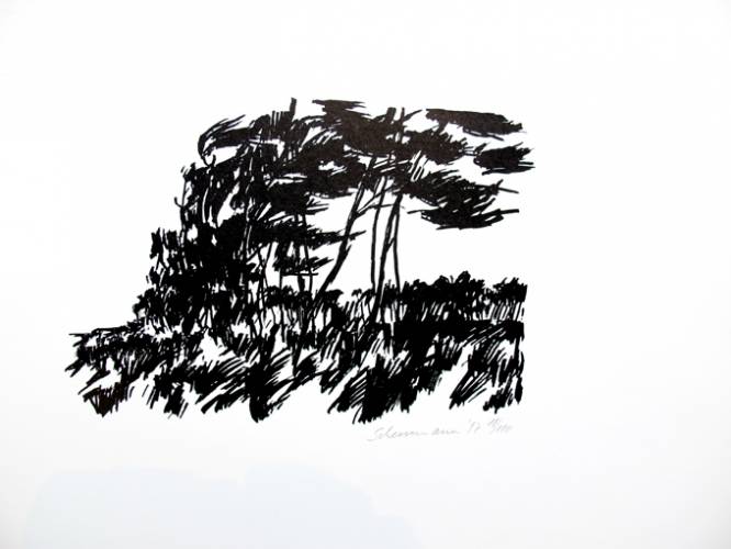 Pines, 0324 / Filmschabdruck S/W of Paper
Papersize 31 x 43 cm
Auflage 100 Stck.