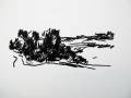 Landscape, 0325