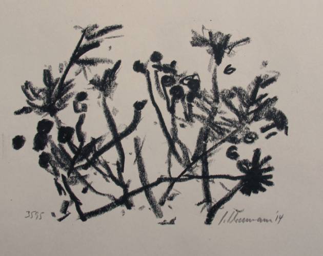 Flowers, work No. 3595 / black chalk on paper