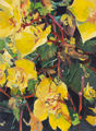 Begonia, painting No. 3704