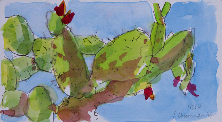 cactus pear, painting No. 4364 / Ink on paper