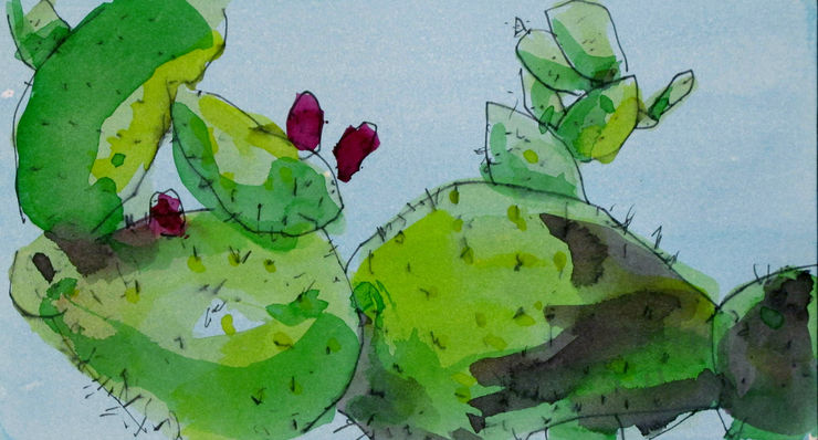 cactus pear, painting No. 4368 / Ink on paper